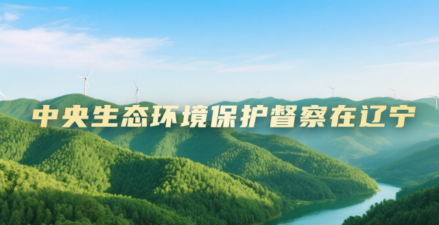 中央生态环境保护督察在辽宁专栏