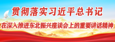 贯彻落实习近平总书记在深入推进东北振兴座谈会上的讲话精神