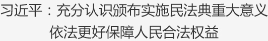 充分认识颁布实施民法典重大意义 依法更好保障人民合法权益