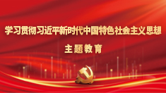 学习贯彻习近平新时代中国特色社会主义思想主题教育