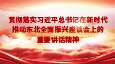 贯彻落实习近平总书记在新时代推动东北全面振兴座谈会上的重要讲话精神