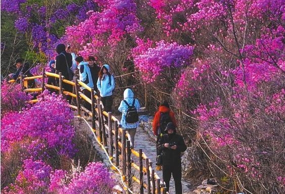 “五一”出游 瞧瞧宝藏景点的新玩法