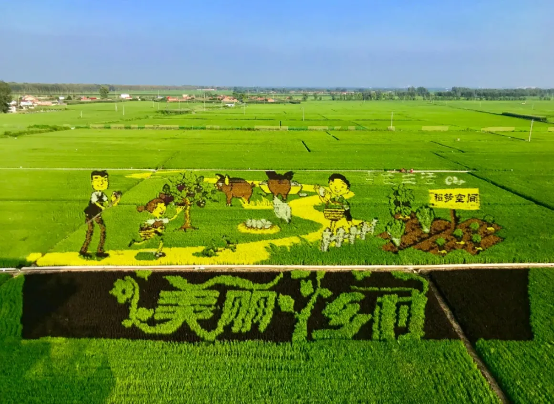 辽宁一地，入选国家级试点名单