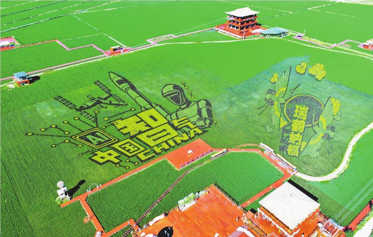 以稻为笔绘新画