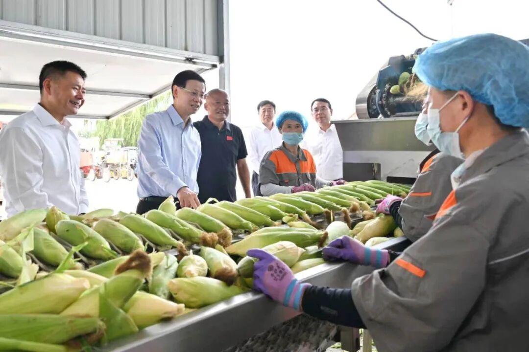 许昆林在沈阳市康平县法库县调研