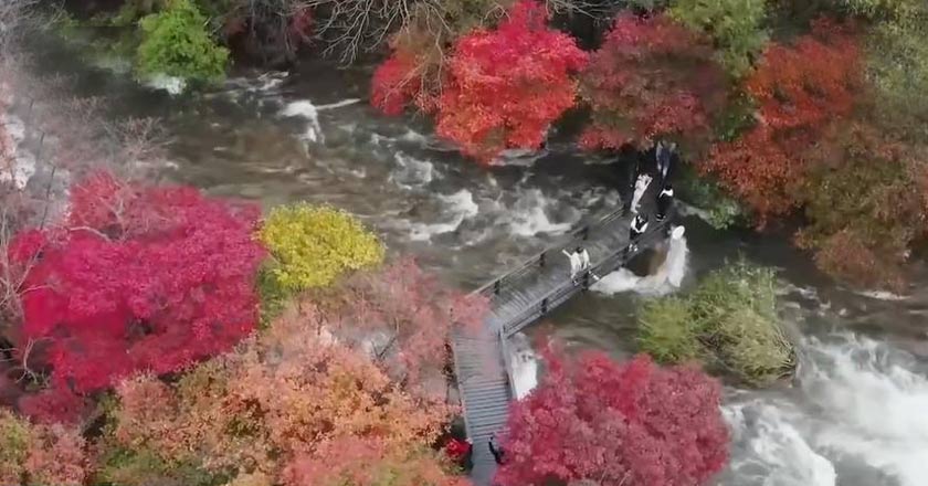 辽宁：赏红叶游山村 秋色带旺乡村消费
